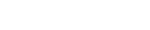 See Company 